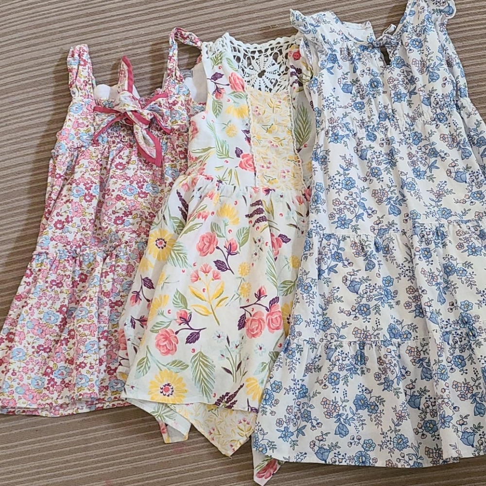 3T Girls Dress Lot